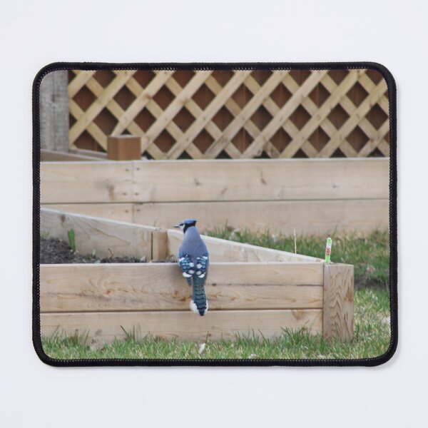 Item preview, Blue Jay in a Garden designed and sold by Nyx190Photos.