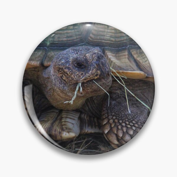 Item preview, Tank the Tortoise  designed and sold by Skylarrae162.