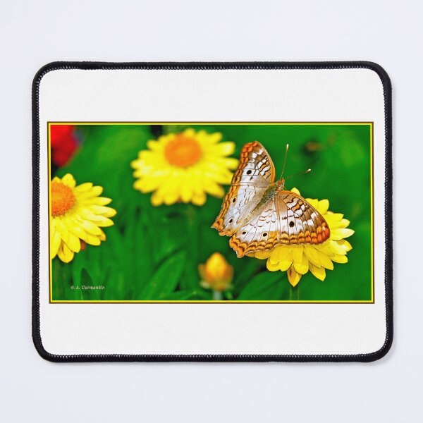 Item preview, White Peacock Butterfly on Yellow Flowers designed and sold by AMacGPhilly.
