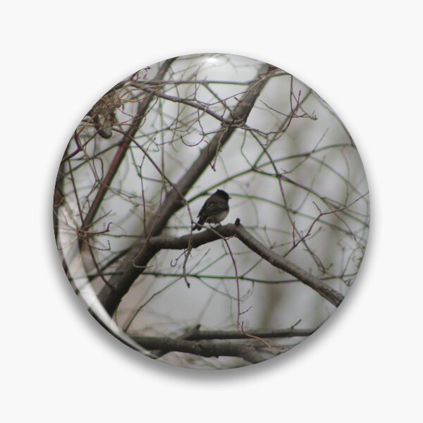 Item preview, Dark-eyed Junco Spring designed and sold by Nyx190Photos.