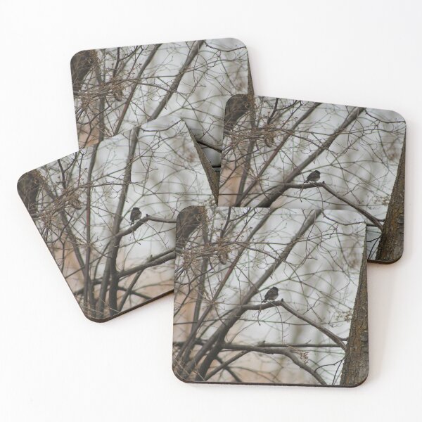 Item preview, Dark-eyed Junco Spring designed and sold by Nyx190Photos.