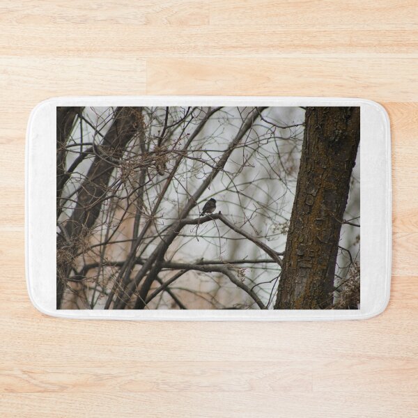 Item preview, Dark-eyed Junco Spring designed and sold by Nyx190Photos.