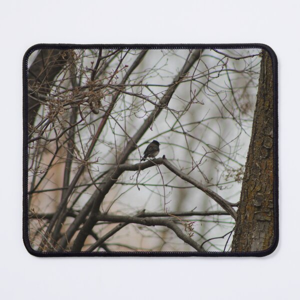 Item preview, Dark-eyed Junco Spring designed and sold by Nyx190Photos.