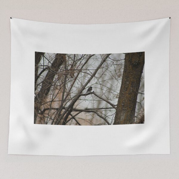 Item preview, Dark-eyed Junco Spring designed and sold by Nyx190Photos.
