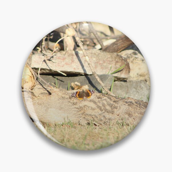 Item preview, Red Admiral designed and sold by Nyx190Photos.