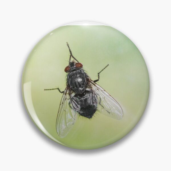 Item preview, Drosophila Melanogaster (Fruit fly) designed and sold by XaviFotografia.
