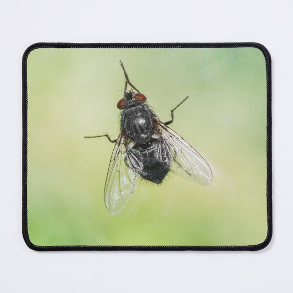 Item preview, Drosophila Melanogaster (Fruit fly) designed and sold by XaviFotografia.
