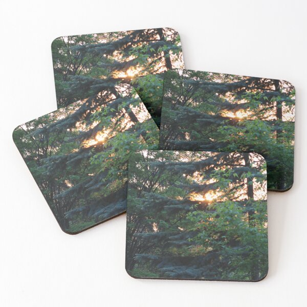 Item preview, Trees at Dusk designed and sold by Nyx190Photos.