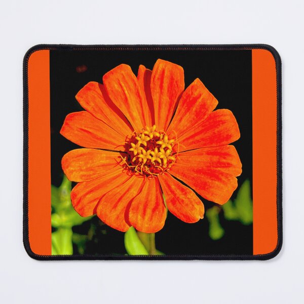 Item preview, Electric Orange Zinnia Flower designed and sold by Digital50.