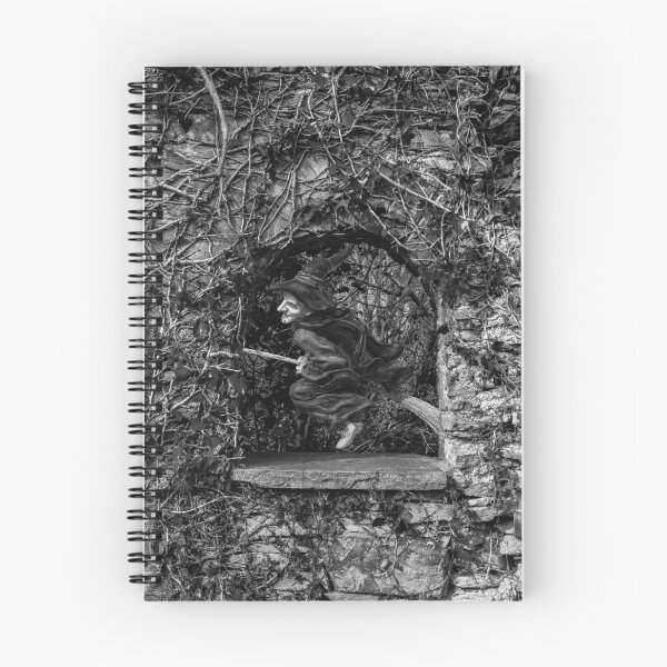 Item preview, Witch flying through Penrhos Woods. designed and sold by Raymond Kerr.