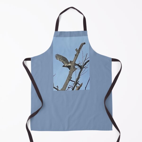 Item preview, Cooper's Hawk Taking Flight designed and sold by Digital50.