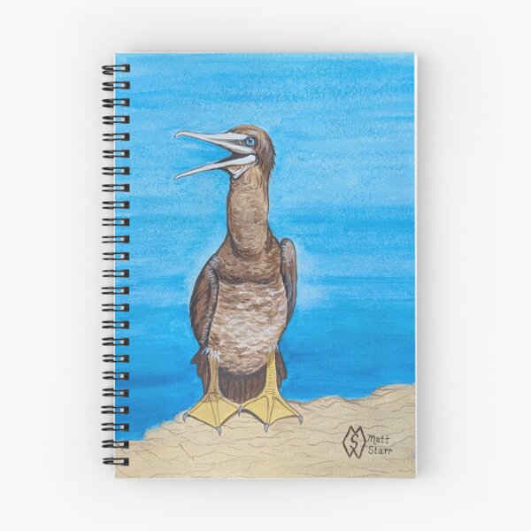 Item preview, The happy brown booby bird designed and sold by Matt Starr Fine Art .