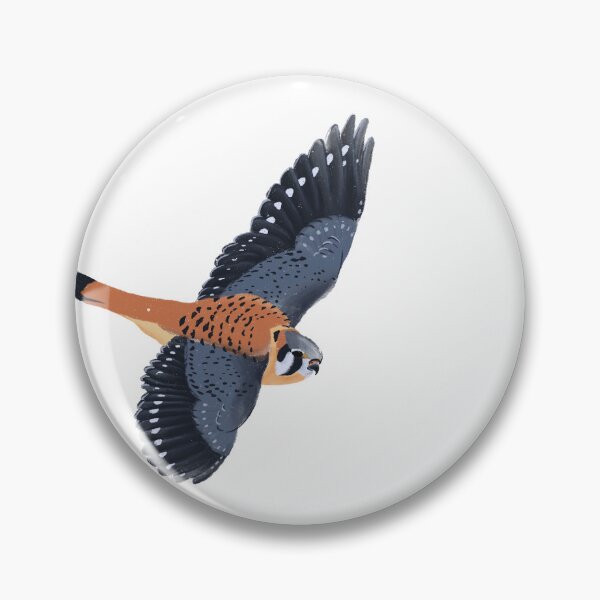 Item preview, American Kestrel designed and sold by MooseMouse1.