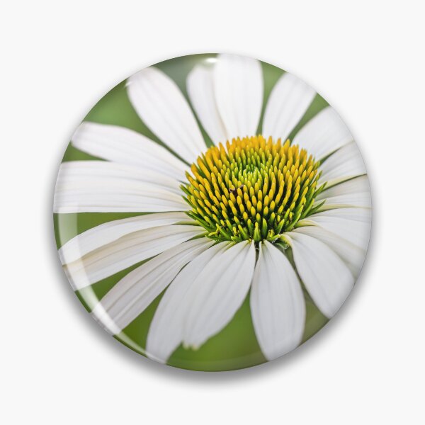 Item preview, White Echinacea — Perfect Symmetry in Bloom designed and sold by Rabee Khalil Photography.