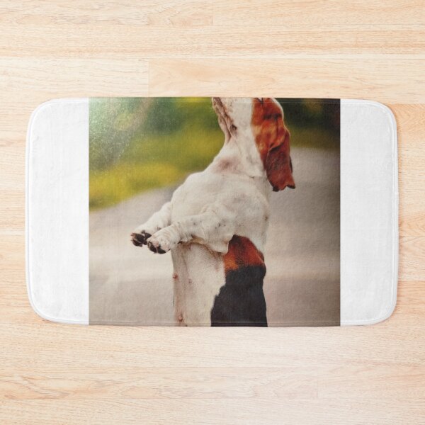 Item preview, Why. a dog ability without humuliating jumps a greet host? designed and sold by Valgasnews011.