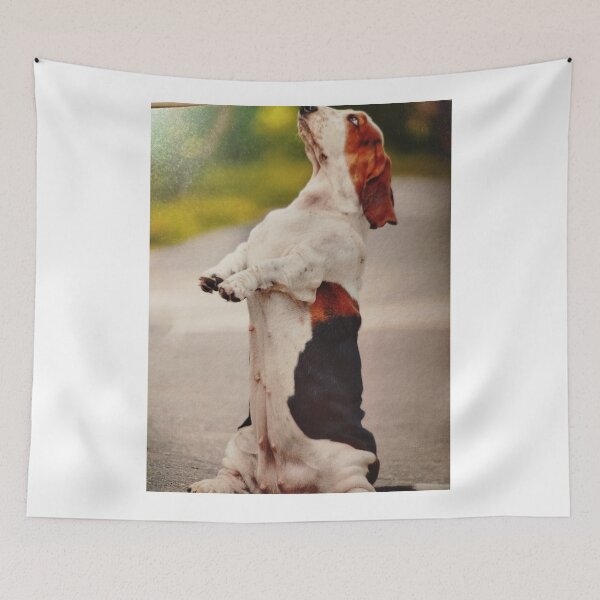 Item preview, Why. a dog ability without humuliating jumps a greet host? designed and sold by Valgasnews011.