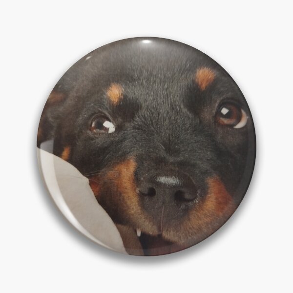 Item preview, Small cunning , where she can a free to chew bones and bark. designed and sold by Valgasnews011.