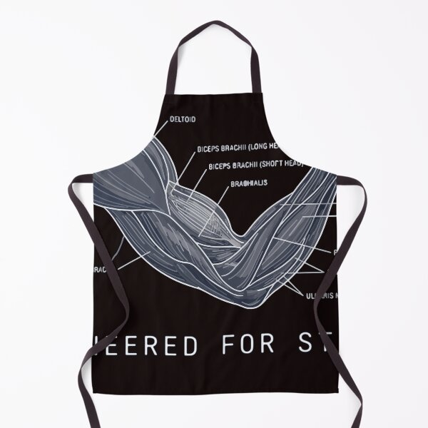 Item preview, Engineered For Strength Anatomy Diagram Gym Fitness designed and sold by soondy.