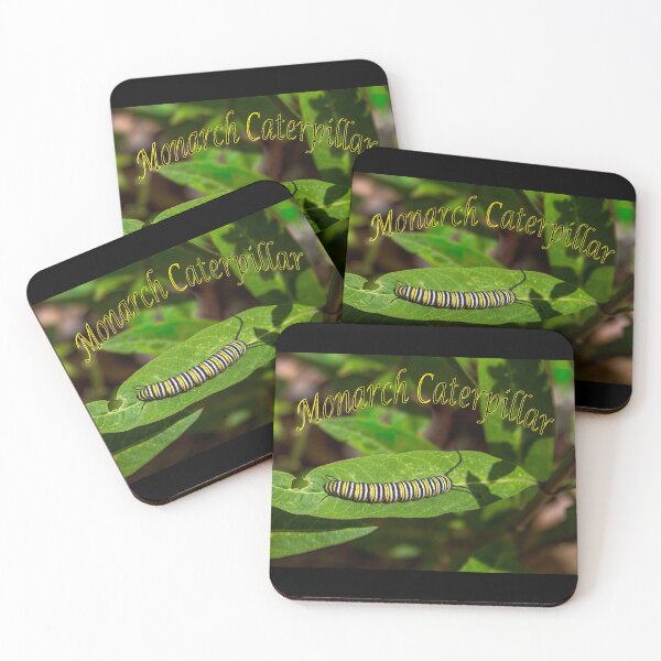 Item preview, Monarch Caterpillar designed and sold by CarolM.