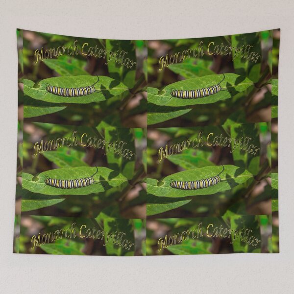 Item preview, Monarch Caterpillar designed and sold by CarolM.