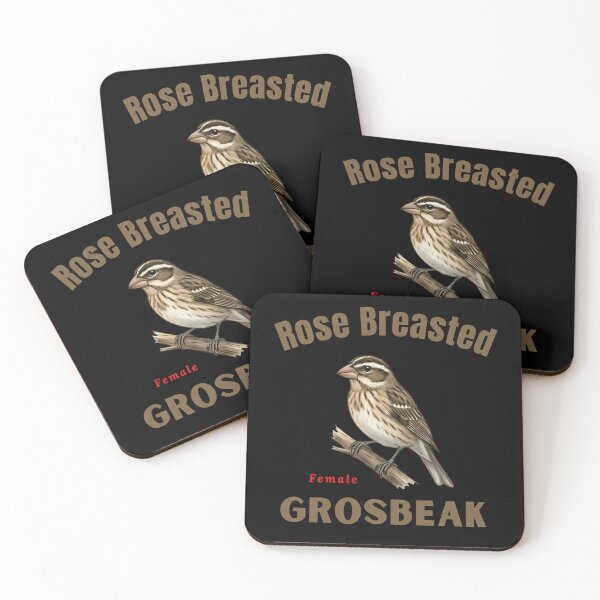 Item preview, Rose-breasted Grosbeak Female Vintage Bird Illustration designed and sold by Go Karillo.