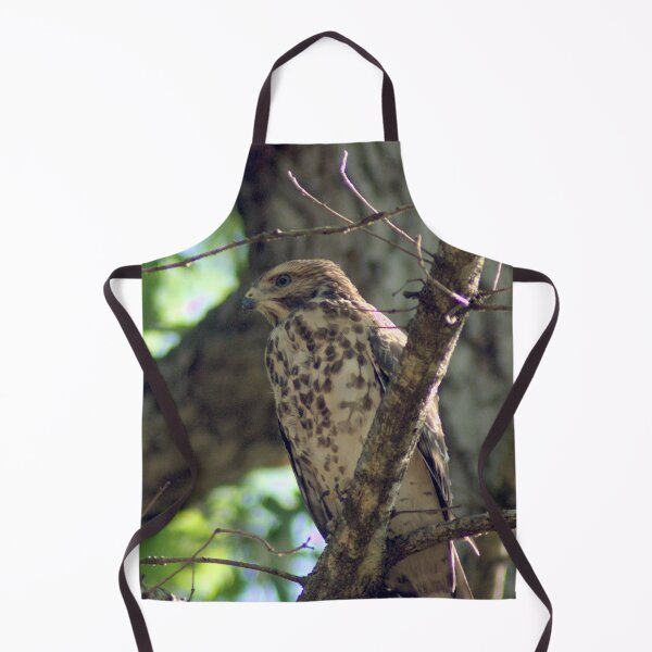 Item preview, Juvenile Red Shoulder Hawk in the Late Afternoon designed and sold by gistinker.
