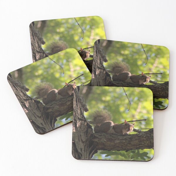 Item preview, Daring Squirrel designed and sold by gistinker.