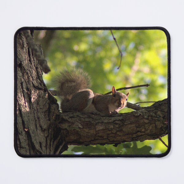 Item preview, Daring Squirrel designed and sold by gistinker.