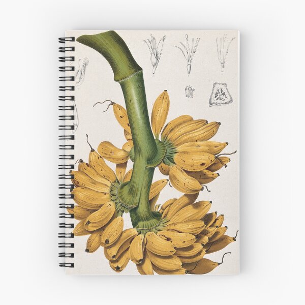 Item preview, BANANA VINE designed and sold by THE GOOD FIND.