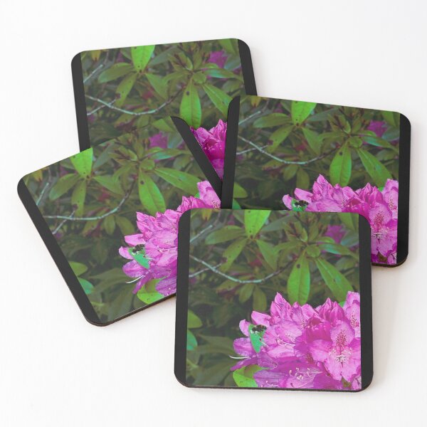 Item preview, bee approaching a rhododendron (livingston, edinburgh, scotland) (may 2026) designed and sold by photosbykel.