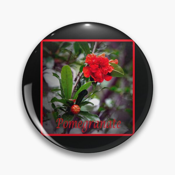 Item preview, Pomegranate Bush designed and sold by CarolM.