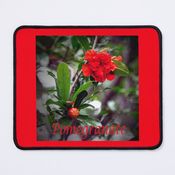 Item preview, Pomegranate Bush designed and sold by CarolM.