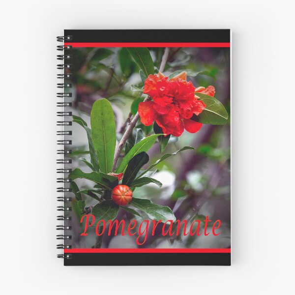 Item preview, Pomegranate Bush designed and sold by CarolM.
