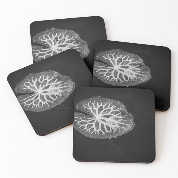 Item preview, Quiet Resilience designed and sold by MonochromePics.