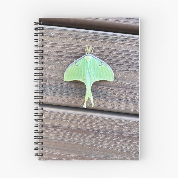 Item preview, Green Luna moth designed and sold by MAX3ASARTISTRY.