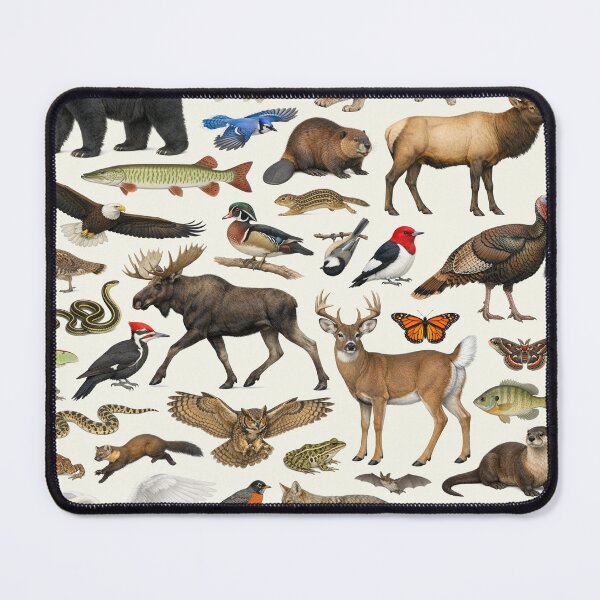 Item preview, Animals of Minnesota Retro Style Identification Chart designed and sold by kakarikihill.