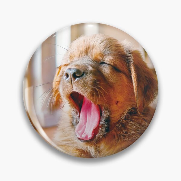 Item preview, Golden Retriever puppy,A big yawn on the floor, designed and sold by OsakaYumeWorks.