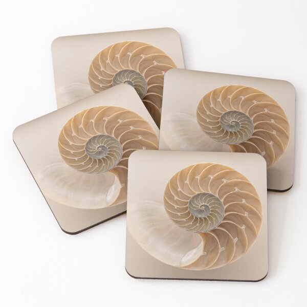 Item preview, Nautilus Shell #1 designed and sold by DroneWorks Creative.