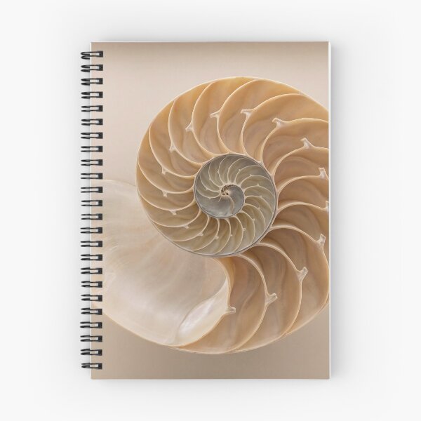 Item preview, Nautilus Shell #1 designed and sold by DroneWorks Creative.