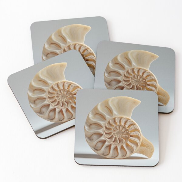 Item preview, Nautilus Shell #2 designed and sold by DroneWorks Creative.