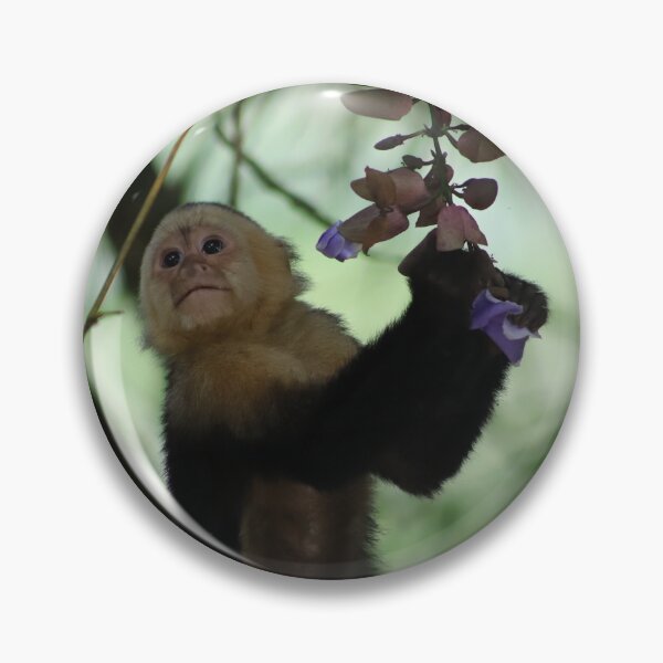 Item preview, Costa Rican Capuchin with Flower designed and sold by lbmaddox.