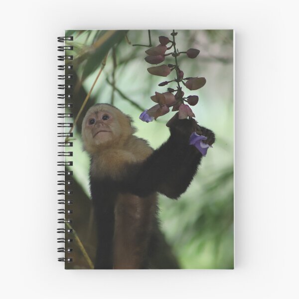 Item preview, Costa Rican Capuchin with Flower designed and sold by lbmaddox.