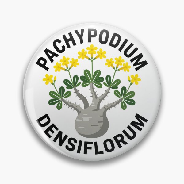 Item preview, Pachypodium Densiflorum Caudex Plant Graphic designed and sold by GreenDivisionJP.