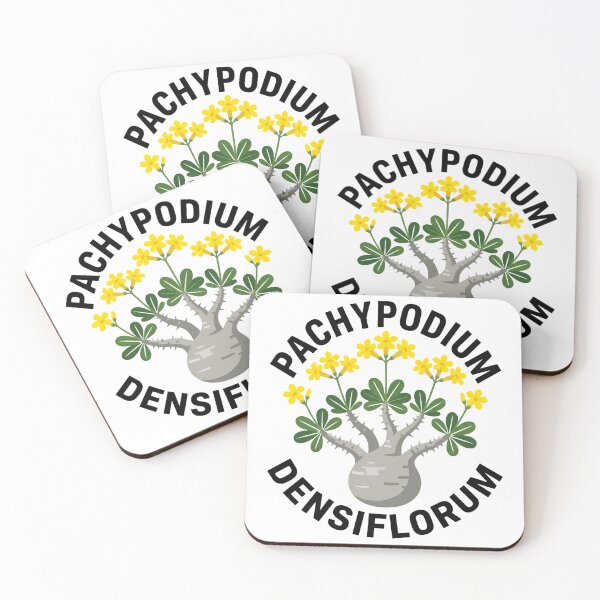 Item preview, Pachypodium Densiflorum Caudex Plant Graphic designed and sold by GreenDivisionJP.