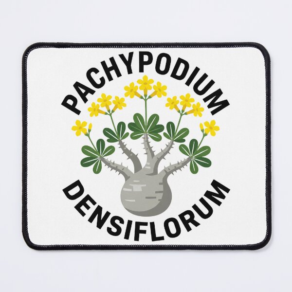 Item preview, Pachypodium Densiflorum Caudex Plant Graphic designed and sold by GreenDivisionJP.