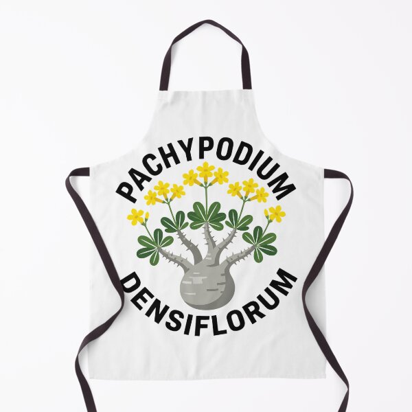 Item preview, Pachypodium Densiflorum Caudex Plant Graphic designed and sold by GreenDivisionJP.