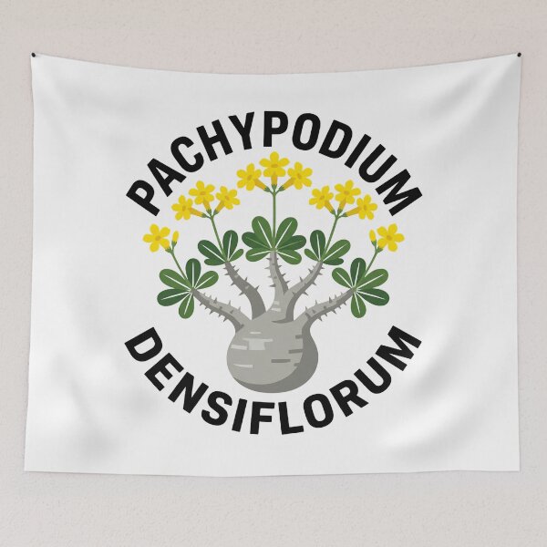 Item preview, Pachypodium Densiflorum Caudex Plant Graphic designed and sold by GreenDivisionJP.