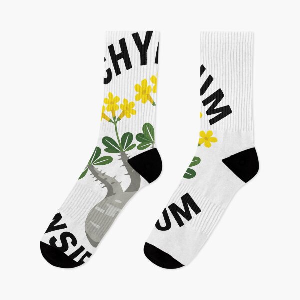 Item preview, Pachypodium Densiflorum Caudex Plant Graphic designed and sold by GreenDivisionJP.