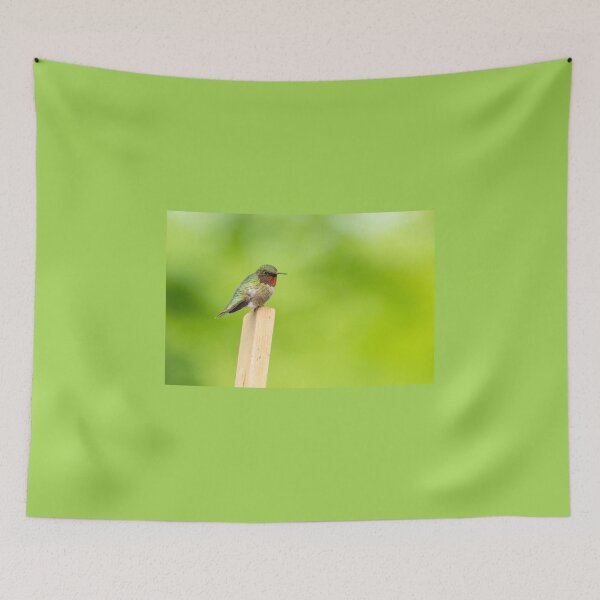 Item preview, Ruby-Throated hummingbird - Archilochus colubris  designed and sold by Roxane Bay.