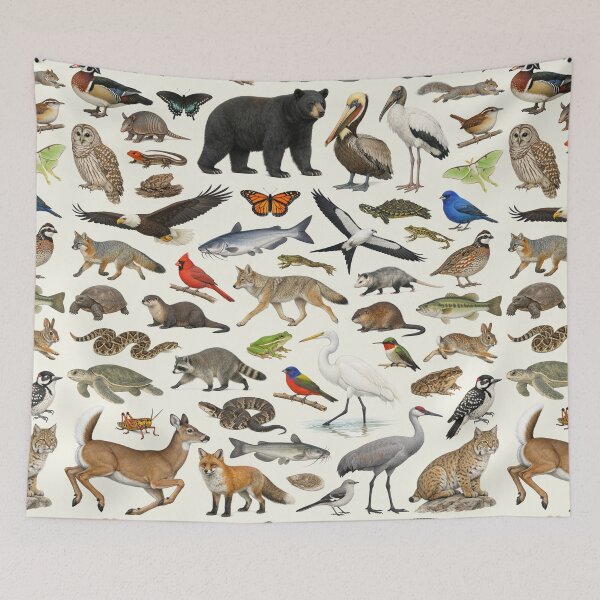 Item preview, Animals of Mississippi Retro Style Identification Chart designed and sold by kakarikihill.